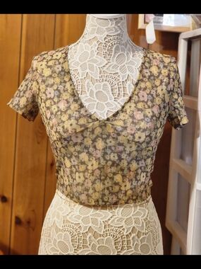 Sheer Mesh Floral V-Neck Short Sleeve Crop Top